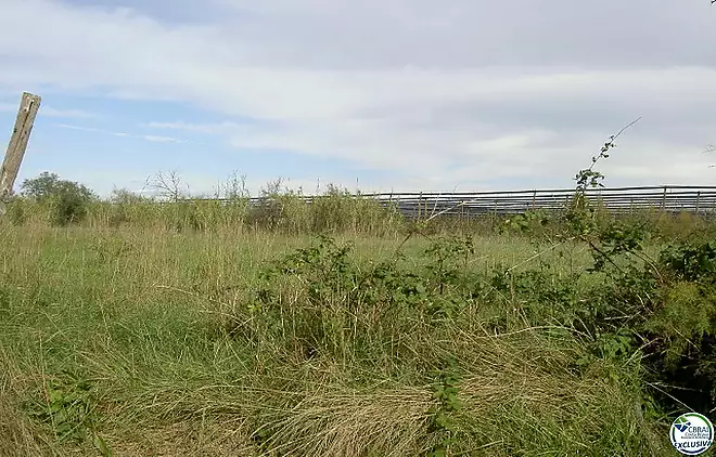 LAND OF 5.000 M2
