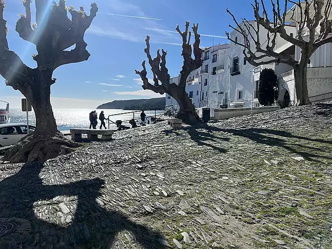 Caritat Serinyana
