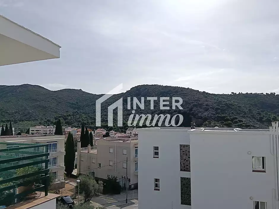 BEAUTIFUL APARTMENT WITH SEA VIEW AT MAS OLIVA IN ROSAS - photo 3 of 32