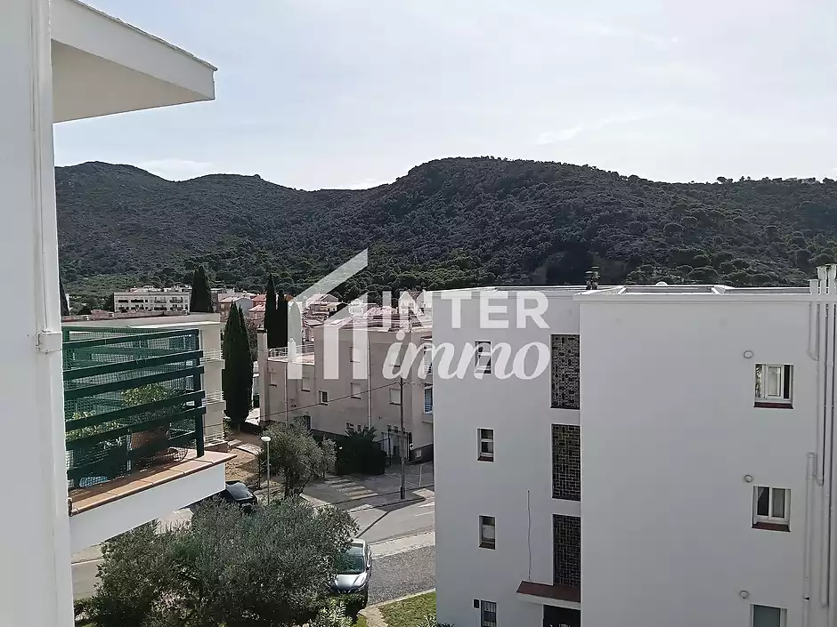 BEAUTIFUL APARTMENT WITH SEA VIEW AT MAS OLIVA IN ROSAS - photo 9 of 32