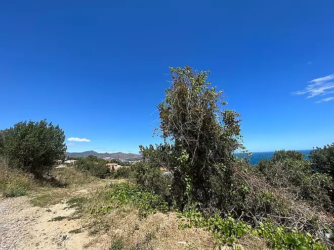 Terreny amb 14 parcel·les edificables, Llançà (Costa Brava)