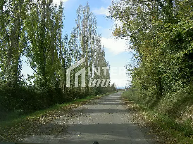 TERRENY 5.000 M2.