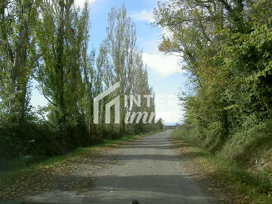 TERRENY 5.000 M2. - foto 1 de 15