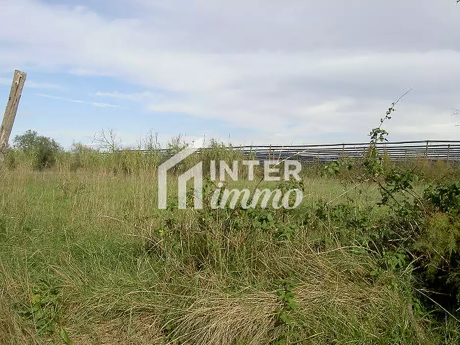TERRENY 5.000 M2. - foto 2 de 15