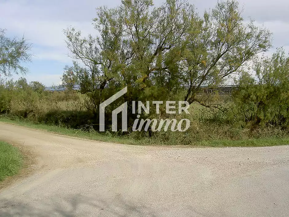 TERRENY 5.000 M2. - foto 3 de 15