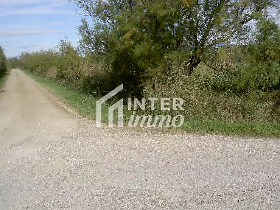 TERRENY 5.000 M2. - foto 4 de 15