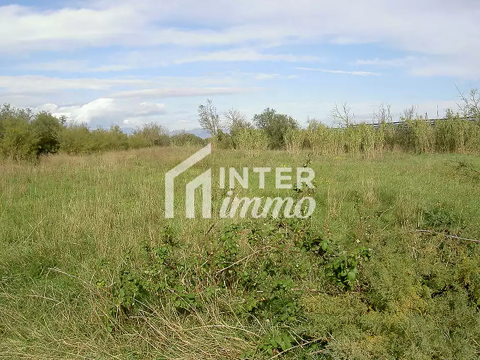 TERRENY 5.000 M2. - foto 5 de 15
