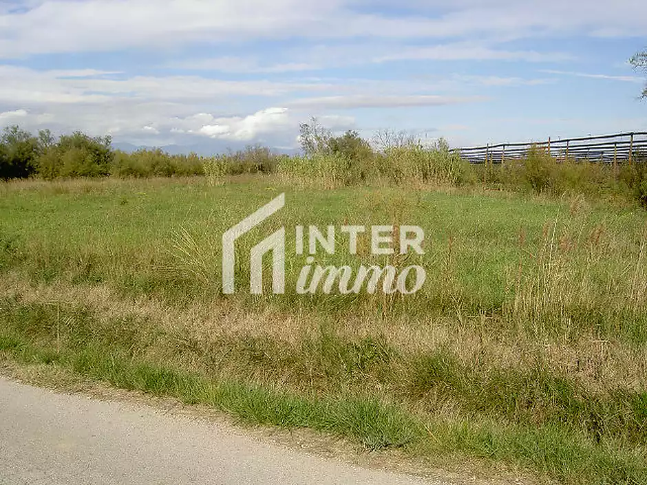 TERRENY 5.000 M2. - foto 6 de 15