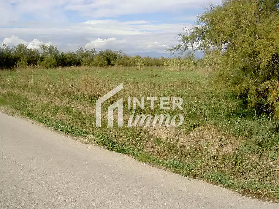 TERRENY 5.000 M2. - foto 7 de 15