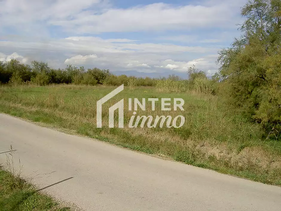 TERRENY 5.000 M2. - foto 8 de 15