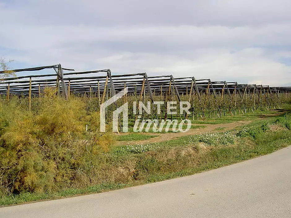 TERRENY 5.000 M2. - foto 10 de 15