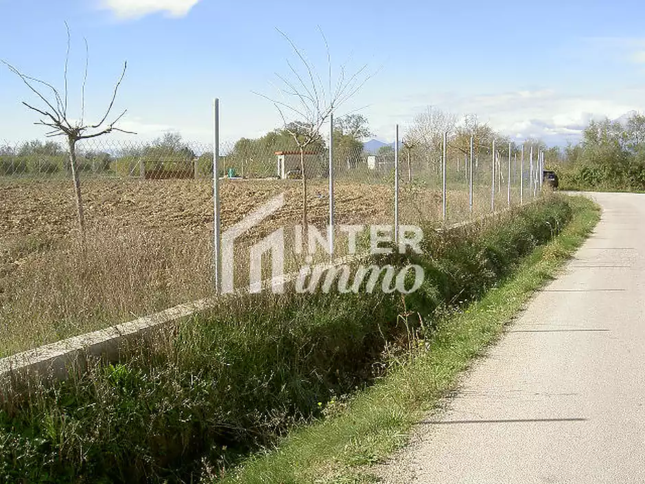 TERRENY 5.000 M2. - foto 13 de 15
