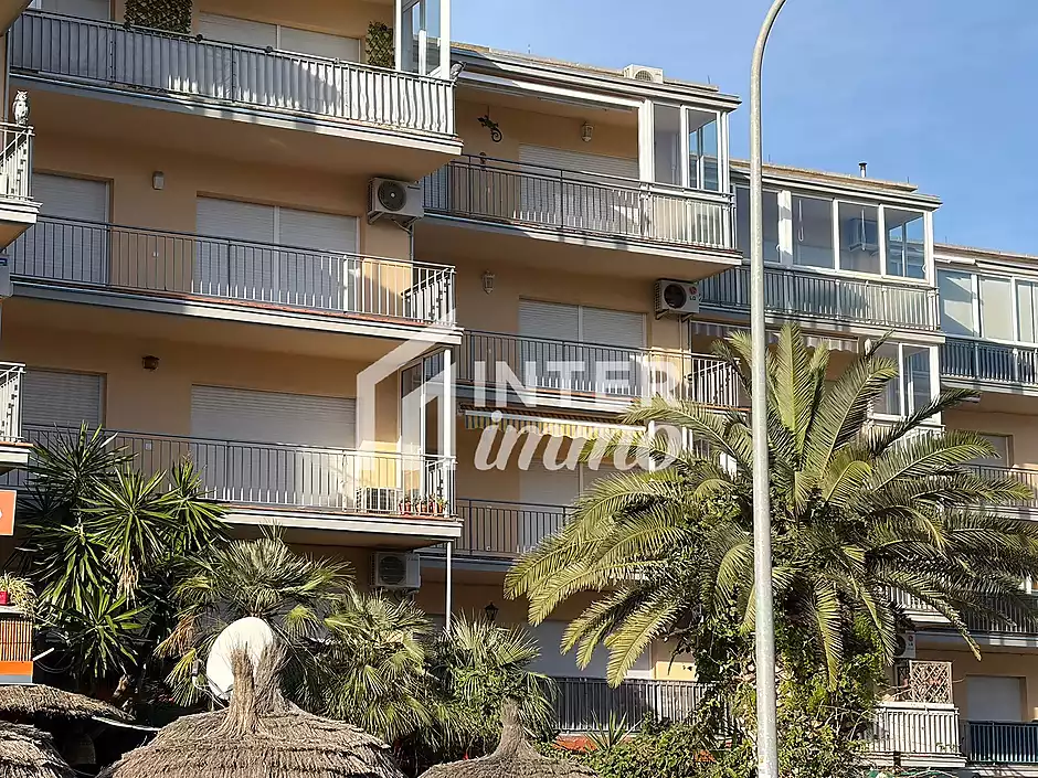 Amplio y luminoso apartamento situado a pocos pasos de la playa, ideal para disfrutar del mar y de t - foto 12 de 40